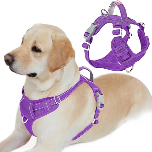 No Pull Dog Harness for Large Dogs (Large(Chest:24.5-32.5") / Purple)