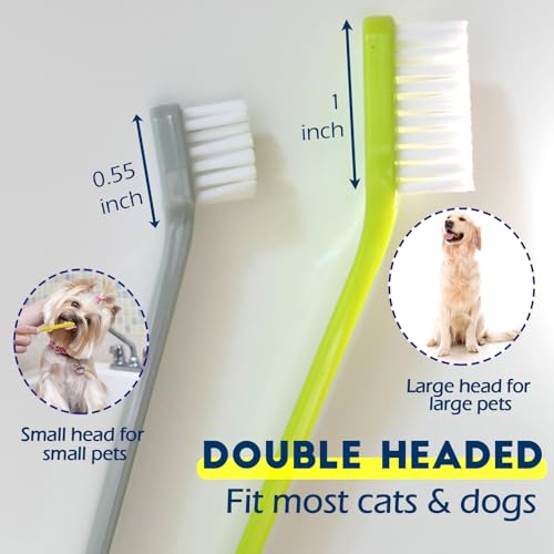 Dog Toothbrush Set of 10 (10 pcs)