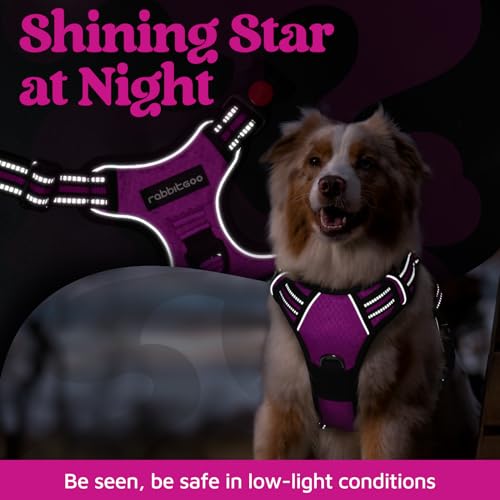 Dog Harness Medium Sized (Purple / Medium)