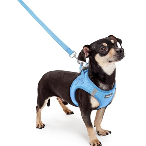 Dog Harness Small Sized and Leash Set (Blue / Xxxs (chest: 10.8 - 11.8"))