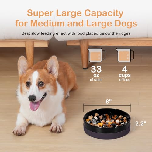 Ceramic Slow Feeder Dog Bowls with Silicone Base (Medium-8 inches / Black)
