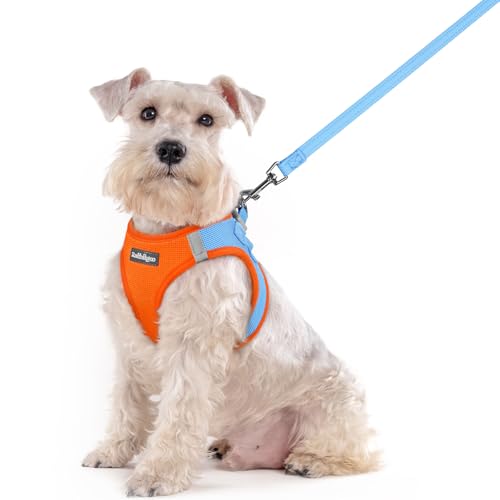 Dog Harness Medium Sized and Leash Set (Blue & Orange / Xxl (chest: 21.6 - 23.7"))