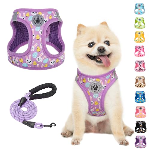 Small Dog Harness and Leash Set (XSmall(Chest Girth 13" - 14.5") / Colorful)