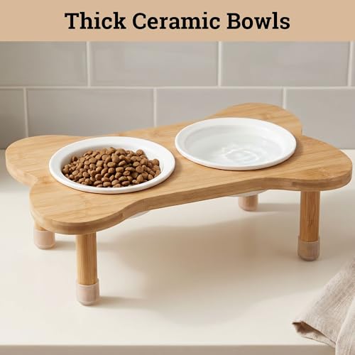 Elevated Dog Bowls for Small Dogs