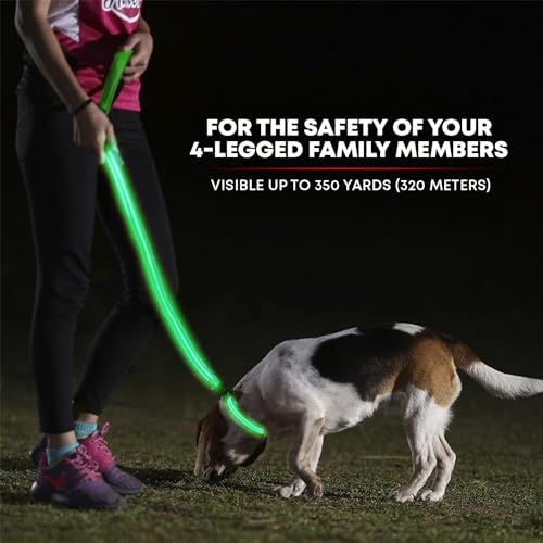 LED Light Up Dog Leash (6 Feet / Neon Green)