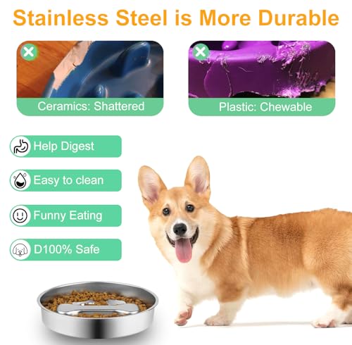 Stainless Steel Slow Feeder Dog Bowls