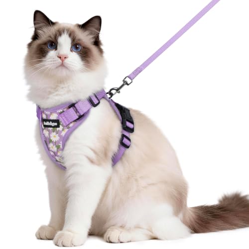 Cat Harness and Leash Set (M / Purr-ple Daisy)