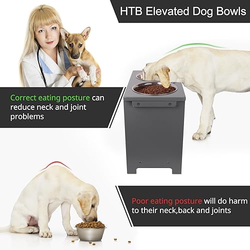 Elevated Dog Bowl Stand with 2 Stainless Steel Bowls (X large-14"tall,48 Oz bowl / Grey)