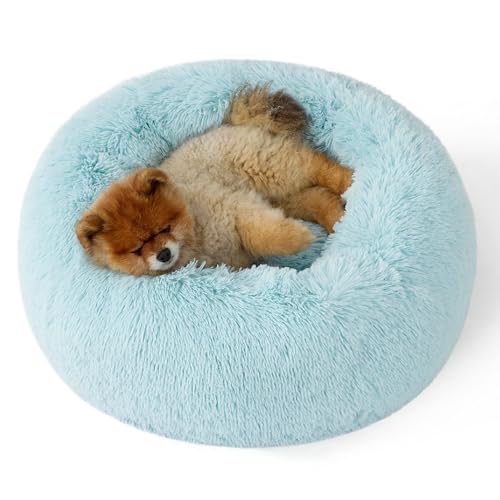Calming Small Dog Bed Donut Washable Cat＆Puppy Bed (23"L x 23"W x 8"Th / Aqua Blue)