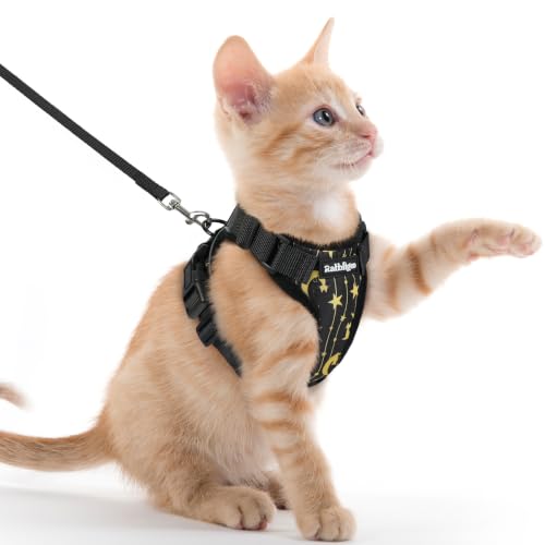 Cat Harness and Leash Set (Xxs / Lunar Prowl)