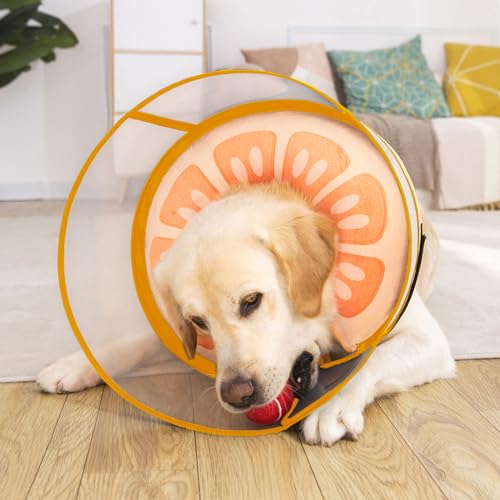 Inflatable Dog Cone Collar for Large Medium Small Dogs (Orange / Medium)
