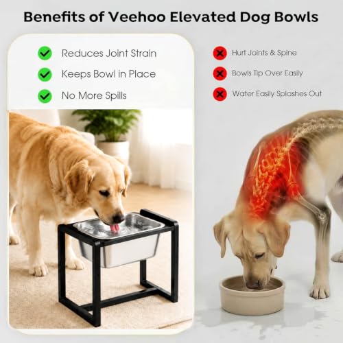Adjustable Height Elevated Large Dog Water Bowls with Stainless Steel Bowls and Metal Stand (2.4GLLON)