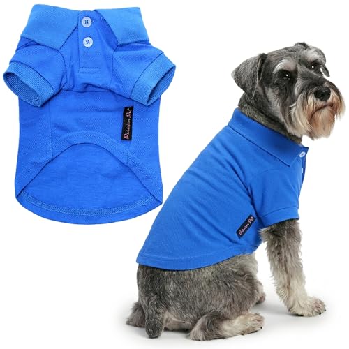 Dog Polo Shirt (2XL / Blue Polo)