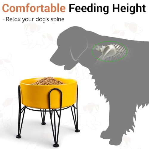 Elevated Dog Bowls (Yellow / 7.6 Cups | 2 Pack | For Large Dogs)