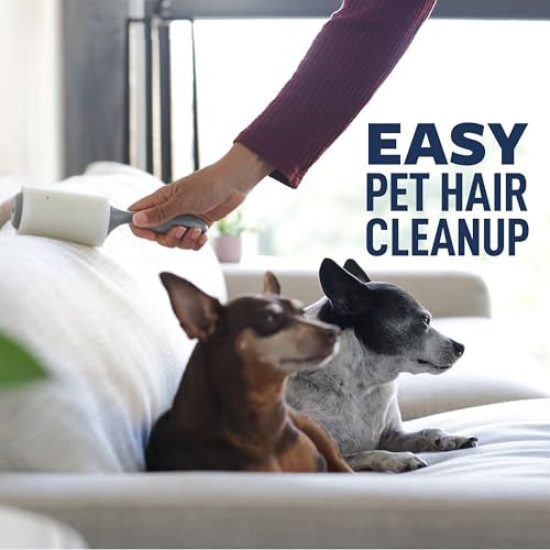 Everyday Clean Lint Roller (4 Rollers)