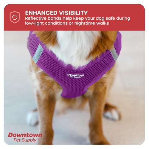 Step in Dog Harness (Small / Purple)