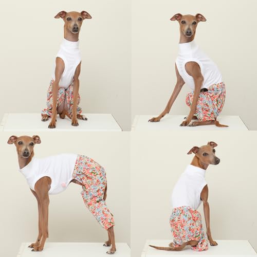 D Doggy Star Italian Greyhound Clothes Mombbe Onesie Outfit Whippet for Dog Coat (L / Mombbe Orange)