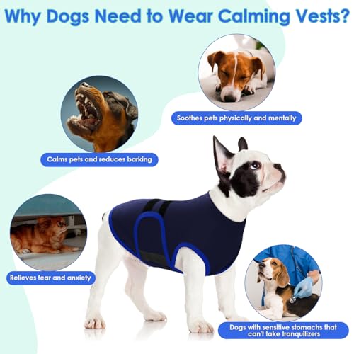 Dog Anxiety Relief Coat (NavyBlue / X-Small)