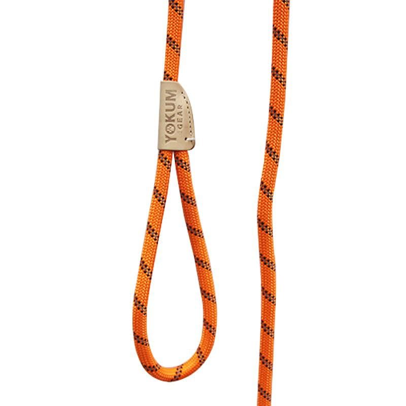 30ft Check Cord to Train Dog (30 Ft / ORANGE)