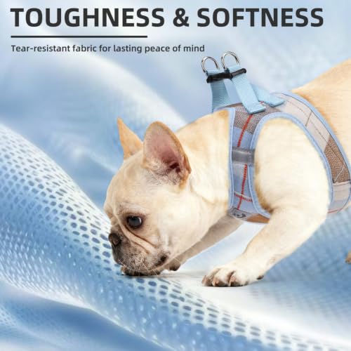 Dog Harness Collar and Leash Set No Pull for Small Medium Sized (Light Blue / M (CHEST 16"-18"))