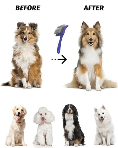 Slicker Brush for Dog (L / Blue)