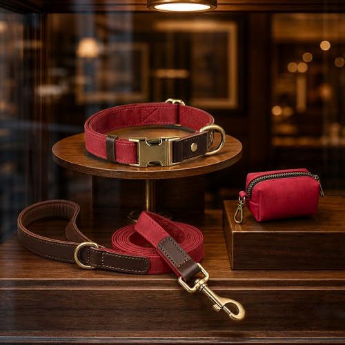PU Leather Dog Leash for Small Dogs (Red / 5/8"x 5FT)