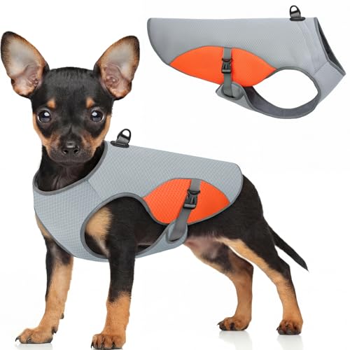 Dog Cooling Vest for Small Dogs (Orange / Small)