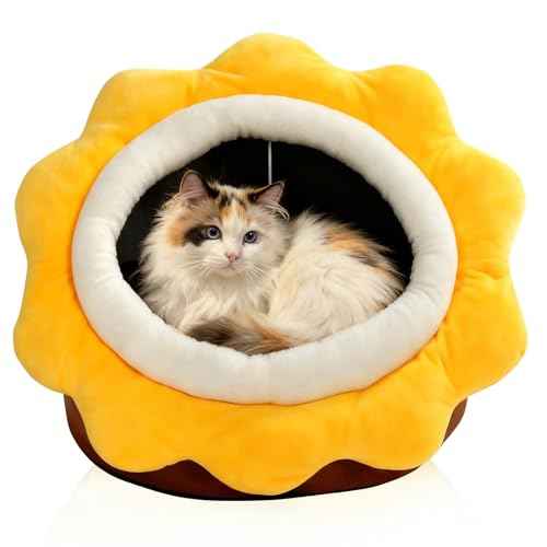 Cat Beds for Indoor Cats (Sunflower Brown / L)