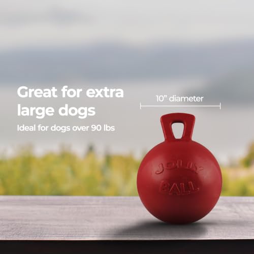 Tug-n-Toss Dog Toy Ball with Handle, 10" XL, Red (Red / XL (10 in))