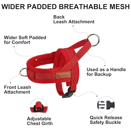 Small Dog Harness and Leash Set (Red / S: Chest 17.5"-22")