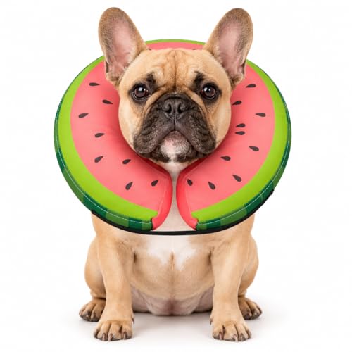 Inflatable Dog Cone After Surgery (Watermelon / M(12"-15"))