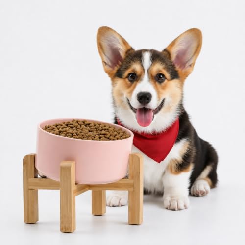 Khaki Elevated (Khaki / 3.6 CUPS - Medium Dog Bowls)