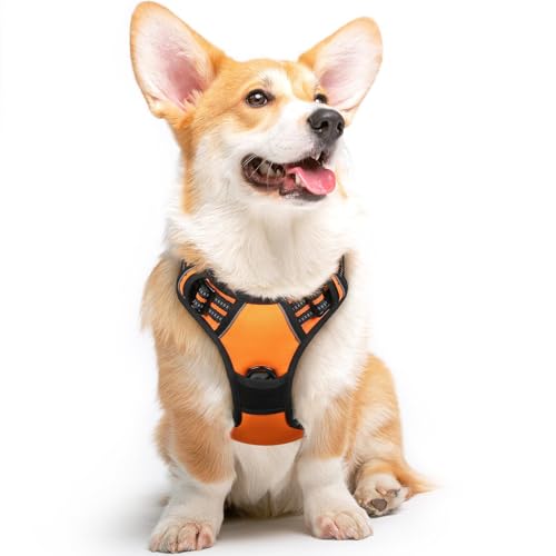 Dog Harness for Medium Sized Dogs (Medium / Orange)