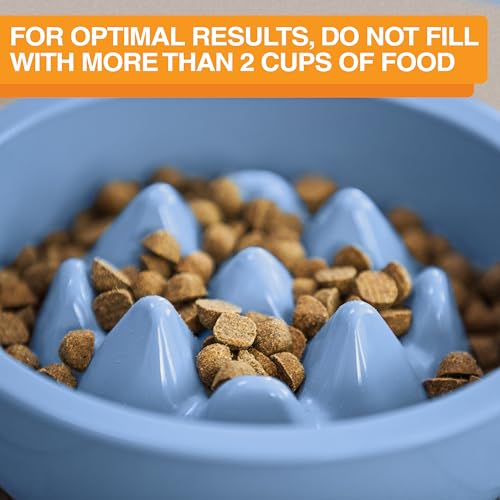 The Niner Slow Feed Bowl (Blue / 2 Cup)
