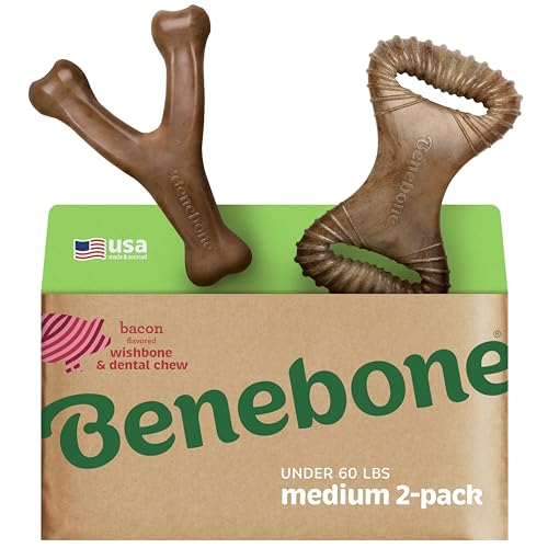 2 pack Wishbone (Medium / Wishbone/Dental)
