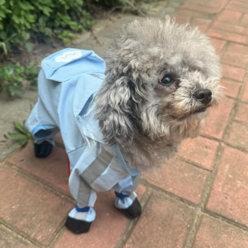 Dog Raincoat with Boots (Blue Cloud (detachable tail) / L (8-11lb))