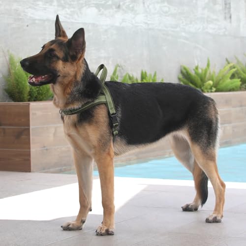 No Pull Dog Harness for Puppy Small Dogs (XXS: chest 11.8"-15" / Ranger Green)