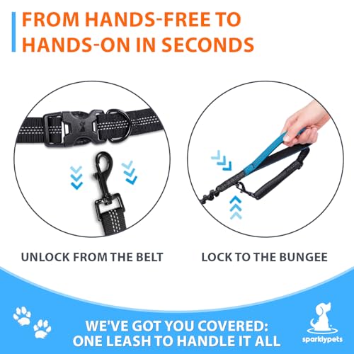 Hands Free Dual Dog Leash (Blue / 2 dogs S)