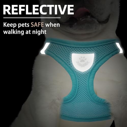 Dog Harness Collar and Leash Set No Pull for Small Medium Sized (Turquoise / S (CHEST 14.5"-16"))