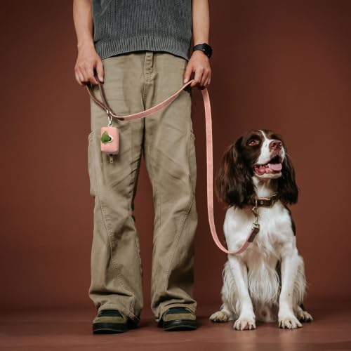 PU Leather Dog Leash for Medium Dogs (Pink / 3/4''x 5FT)