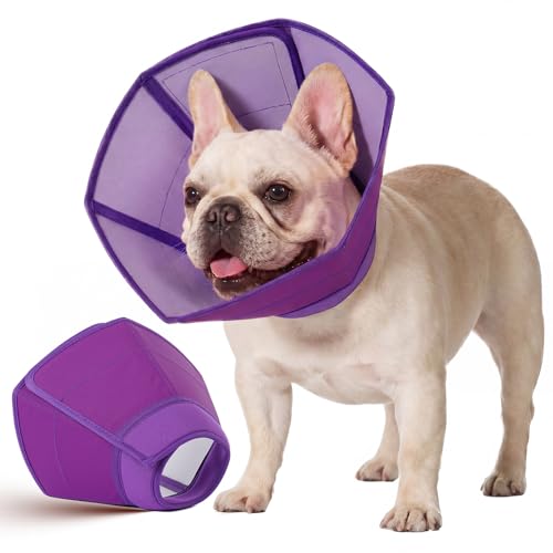 Dog Recovery Cone Waterproof Plastic Elizabethan Collar Purple S (Purple / Small)