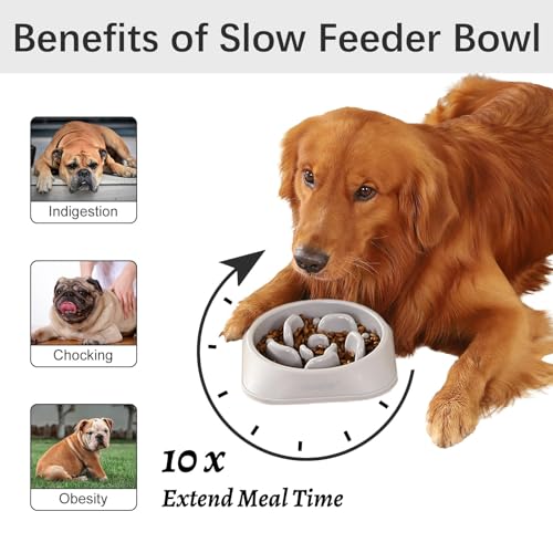 1 Pack Slow Feeder Dog Bowls (I-Gray / Medium)