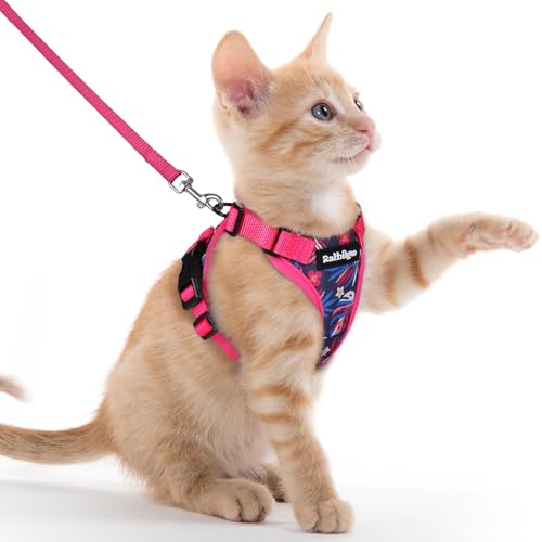 Cat Harness and Leash Set (Xxs / Coconut Fuchsia)