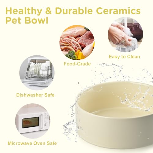 Elevated Dog Bowls Ceramic (7.3 in - 5.3 cups / Beige)