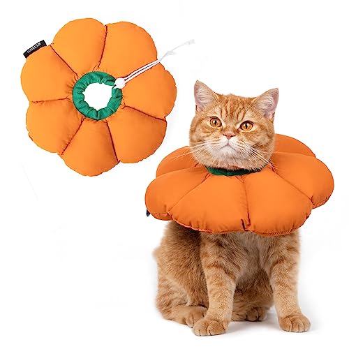 Cat Cone Collar (Small / Orange pumpkin)