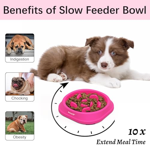 1 Pack Slow Feeder Dog Bowls (J-Purple / Small)