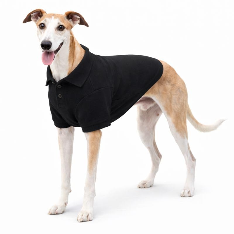 Basic Dog Polo Shirts Premium Cotton (XXL (-55lbs) / Black)