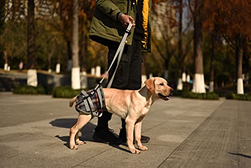 Dog Lift Harness (Small / Hind Legs-Blue)