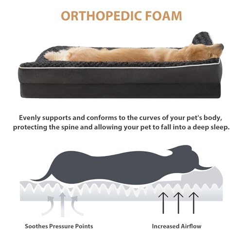 Orthopedic Washable Dog Bed (Black / 30.0"l x 20.0"w x 6.5"th)