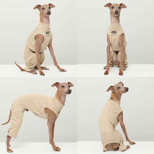 D Doggy Star Italian Greyhound Clothes High (XL / COORDI BEIGE)